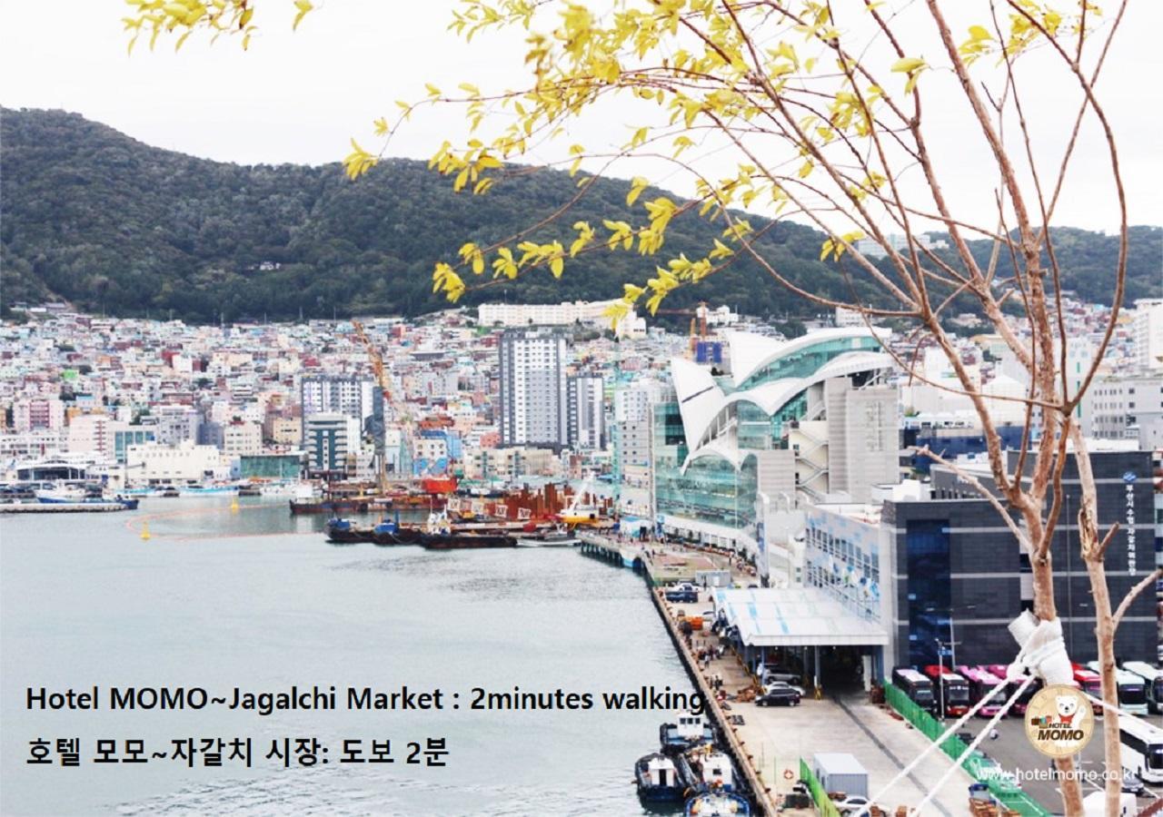 Hotel Momo Busan Exteriör bild